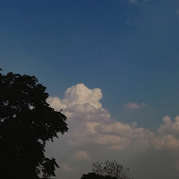 Sparsh